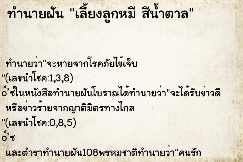 ทำนายฝันเลี้ยงลูกหมีสีน้ำตาล ทำนายฝันทำนายฝันเลี้ยงลูกหมีสีน้ำตาล